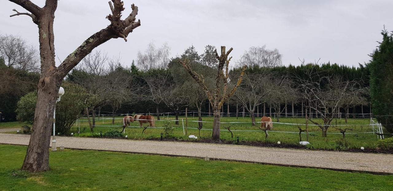 Le Cabassou Du Medoc Begadan Экстерьер фото